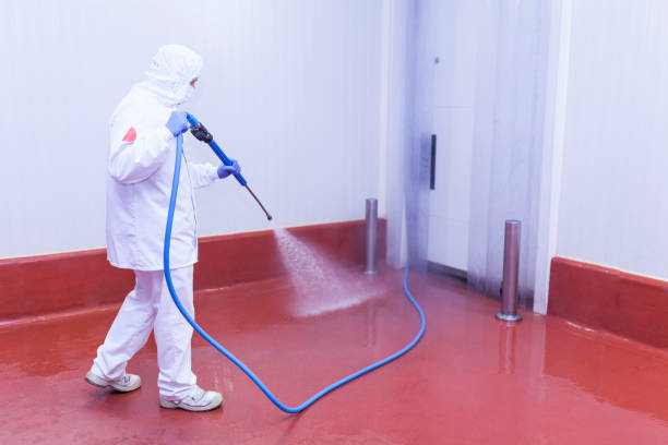 Best Building Exterior Washing  in Dunbar, SC