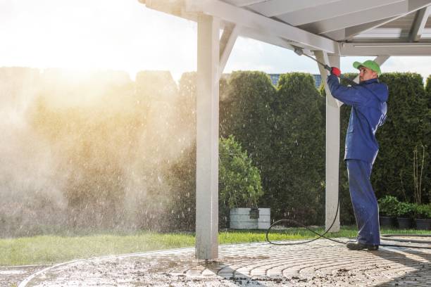 Best Soft Washing  in Dunbar, SC