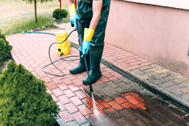 Boat and Dock Cleaning in Dunbar, SC