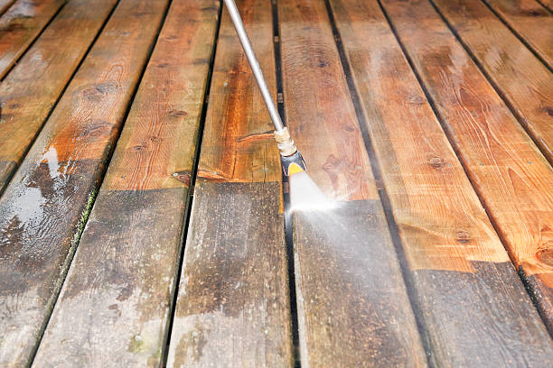 Animal Enclosure Cleaning in Dunbar, SC
